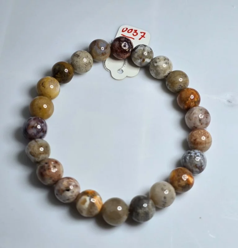 Coral (ปะการัง)