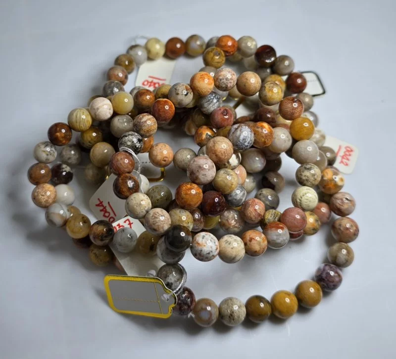 Coral (ปะการัง)
