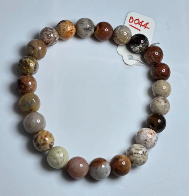 Coral (ปะการัง)