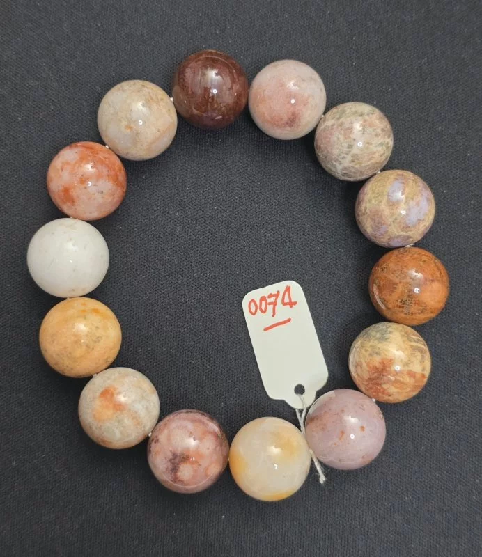 Coral (ปะการัง)