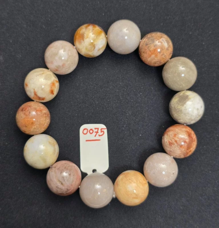 Coral (ปะการัง)