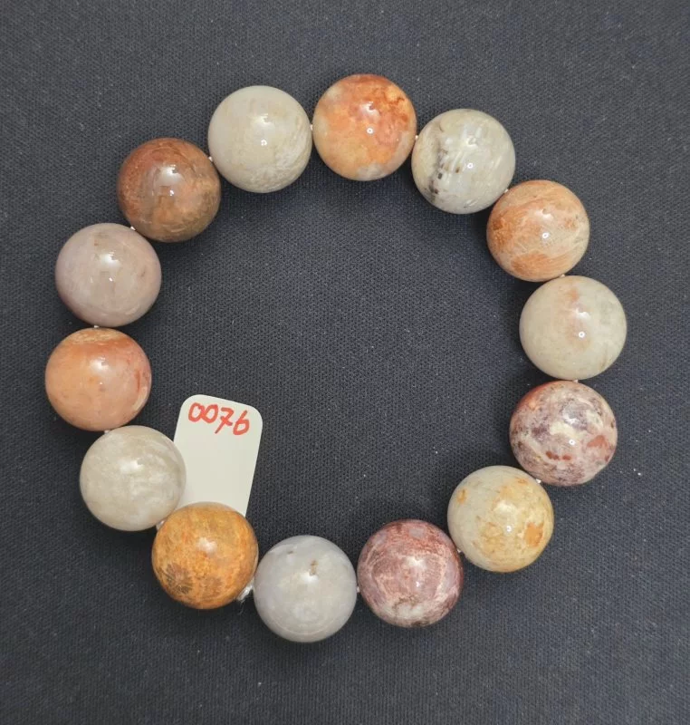Coral (ปะการัง)