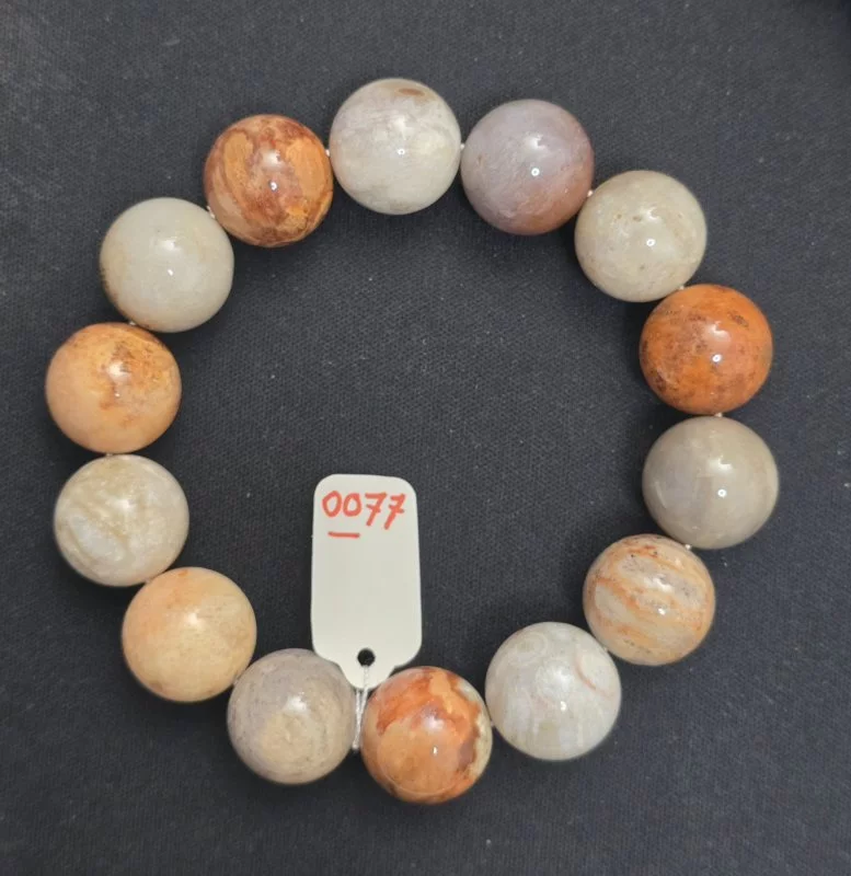 Coral (ปะการัง)