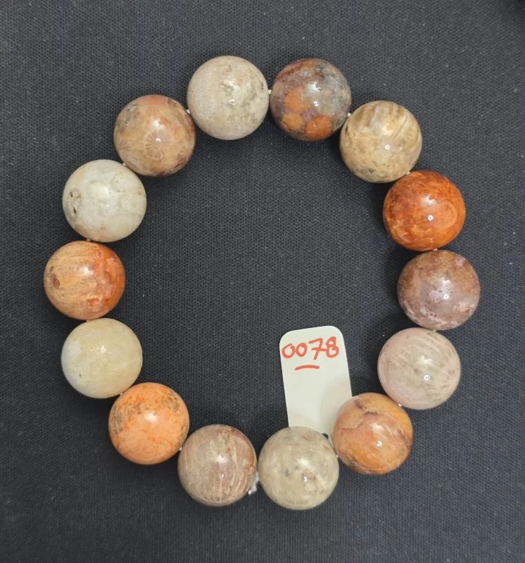 Coral (ปะการัง)