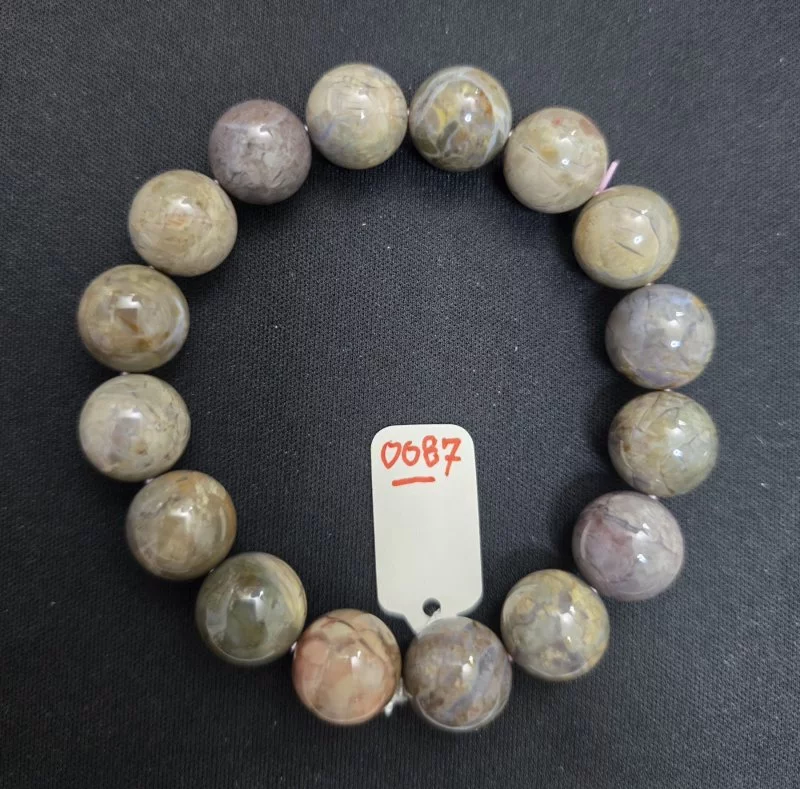 Alashan Agate (อาลาซาน อาเกต)