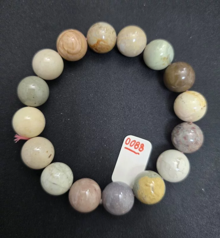 Alashan Agate (อาลาซาน อาเกต)