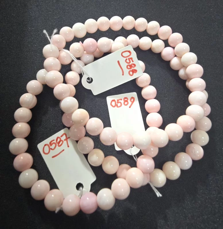 Pink Shell (พิงค์ เชลล์)