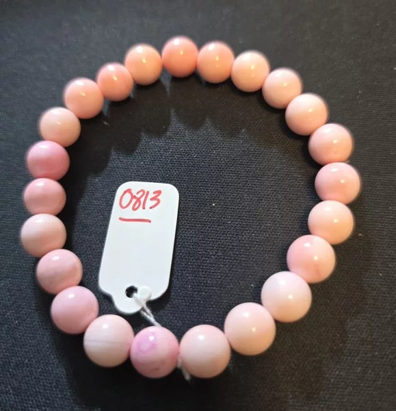 Pink Shell (พิงค์ เชลล์)
