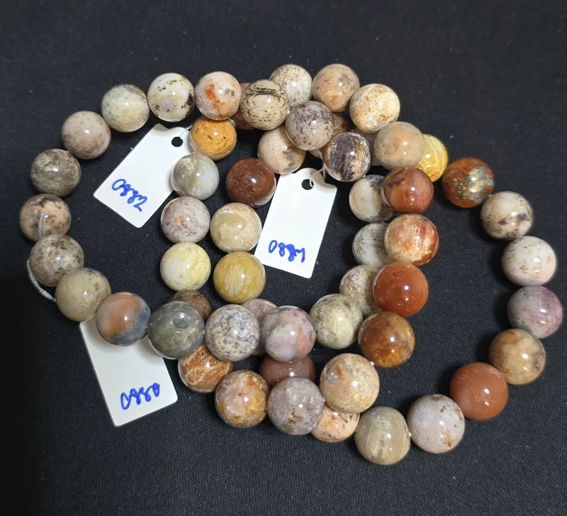 Alashan Agate (อาลาซาน อาเกต)