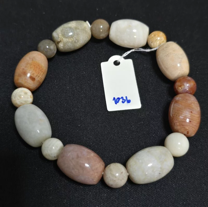 Coral (ปะการัง)