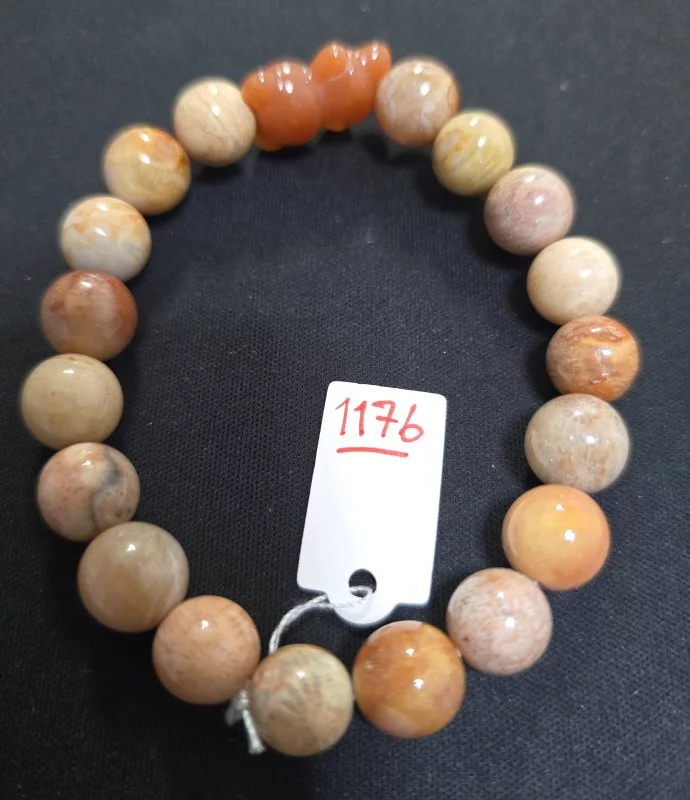 Coral (ปะการัง)