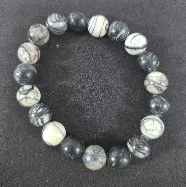 Zebra Jasper (ซีบร้า แจสเปอร์)
