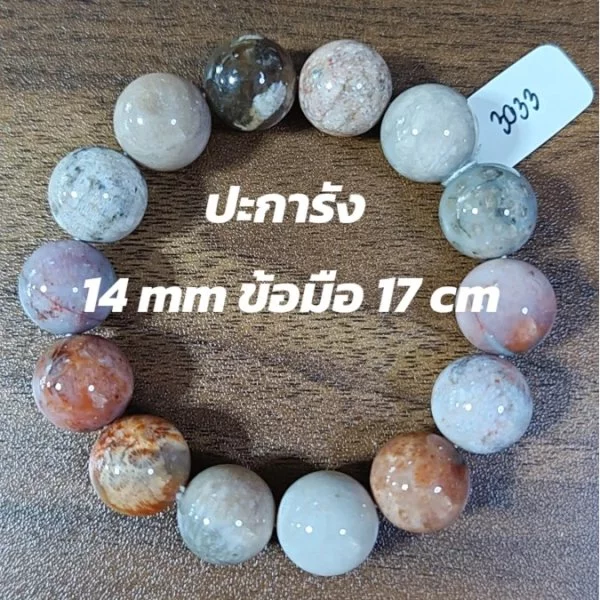 Coral (ปะการัง)