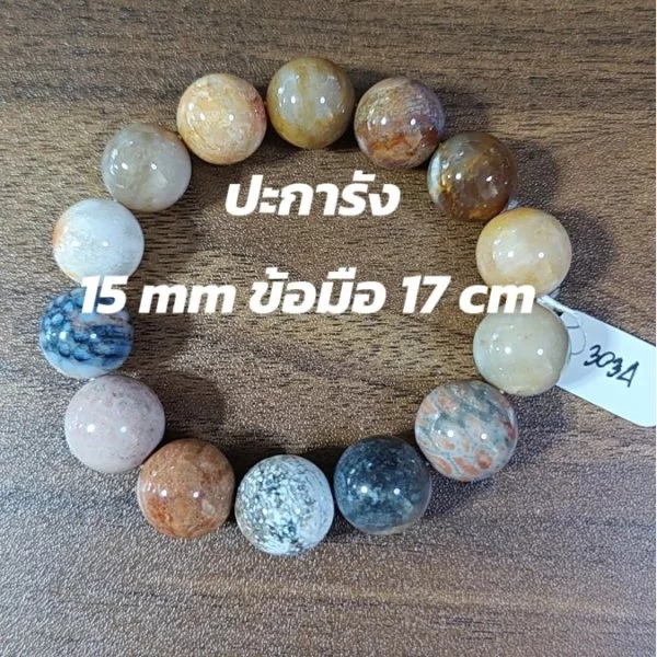 Coral (ปะการัง)