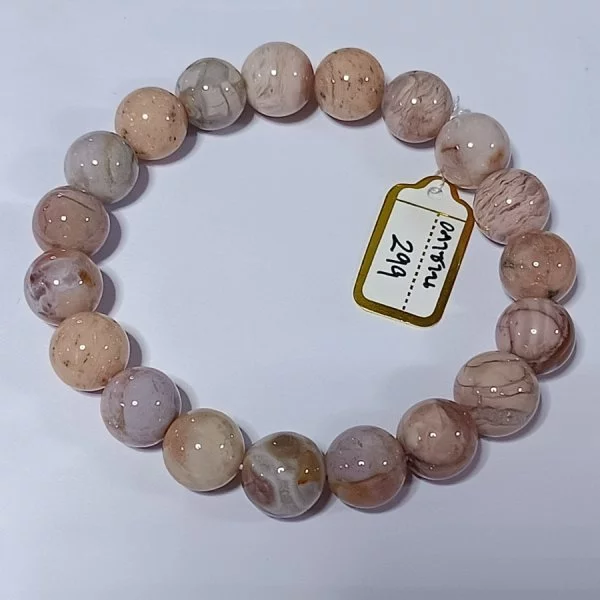 Alashan Agate (อาลาซาน อาเกต)