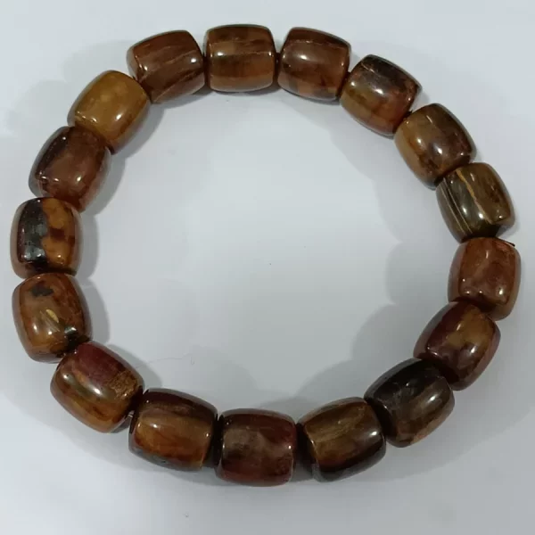 Pietersite (ปีเตอร์ไซท์)